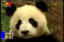 chinasat-9-at-92.2-abs-s-11840l-snap013